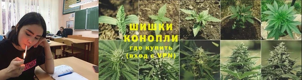 spice Алексеевка